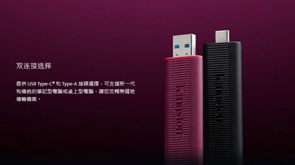 【DTMAX/256GB】 金士頓 256GB 高速 大容量 隨身碟 USB 3.2 G2 5年保固-thumb