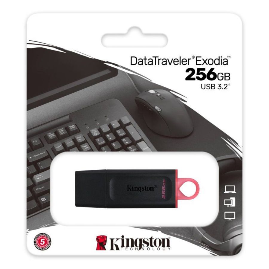 【DTX/256GB】 金士頓 256G 隨身碟 USB3.2 G1 大尺寸扣環 保護蓋-圖片-1