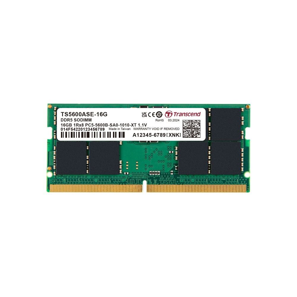  【TS5600ASE-16G】 創見 16GB DDR5-5600 筆記型 品牌顆粒 記憶體 終身保固